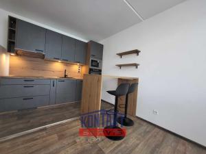 Pronájem bytu 2+kk, České Budějovice, Prachatická, 36 m2