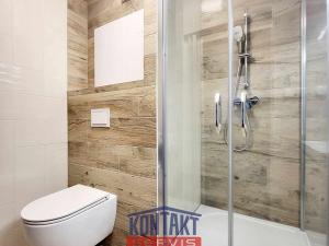 Pronájem bytu 2+kk, České Budějovice, Prachatická, 36 m2