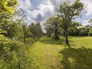 Prodej pozemku pro bydlení, Mezouň, 1807 m2