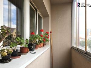 Prodej bytu 2+1, Praha - Nusle, 5. května, 80 m2