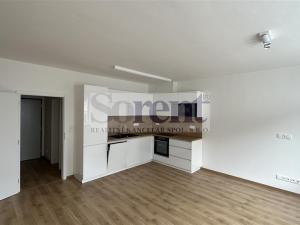 Pronájem bytu 2+kk, České Budějovice - České Budějovice 5, Fr. Škroupa, 52 m2