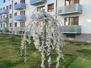 Prodej bytu 4+kk, Olomouc, Třída Jiřího Pelikána, 95 m2