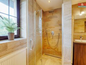 Prodej rodinného domu, Třemošná - Záluží, Ke Koupališti, 254 m2