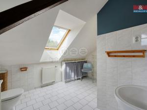 Prodej rodinného domu, Třemošná - Záluží, Ke Koupališti, 254 m2