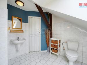 Prodej rodinného domu, Třemošná - Záluží, Ke Koupališti, 254 m2