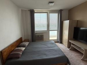 Pronájem bytu 2+1, Třebíč, Velkomeziříčská, 52 m2