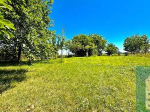 Prodej rodinného domu, Chropyně, Hrad, 250 m2