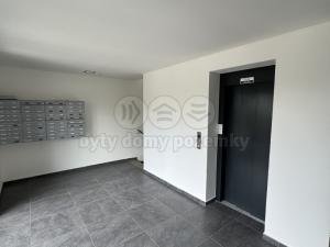 Pronájem bytu 1+kk, Louny, Husova, 38 m2