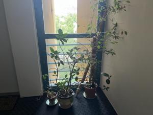 Prodej bytu 2+kk, Praha - Stodůlky, Volutová, 49 m2
