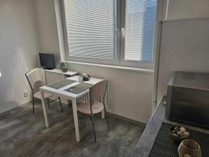 Pronájem bytu 1+1, Vyškov - Dědice, Sídliště Osvobození, 36 m2