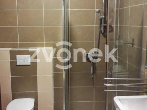 Pronájem bytu 1+kk, Zlín - Malenovice, Zahradní, 36 m2