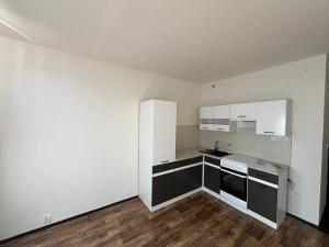 Pronájem bytu 1+1, Děčín, Severní, 35 m2