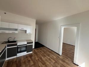 Pronájem bytu 1+1, Děčín, Severní, 35 m2