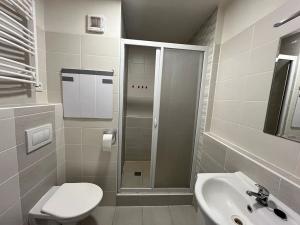 Pronájem bytu 1+1, Děčín, Severní, 35 m2