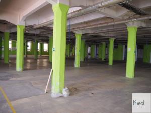 Prodej obchodního prostoru, Cheb, Pekařská, 13500 m2
