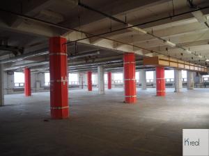 Prodej obchodního prostoru, Cheb, Pekařská, 13500 m2