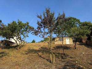 Prodej zahrady, Malé Žernoseky, 1291 m2