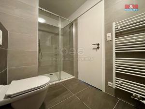 Pronájem bytu 1+kk, Vyškov, Hybešova, 36 m2