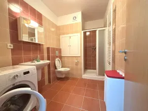 Pronájem bytu 1+kk, Plzeň - Jižní Předměstí, Goldscheiderova, 30 m2