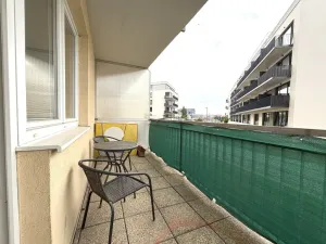 Pronájem bytu 1+kk, Plzeň - Jižní Předměstí, Goldscheiderova, 30 m2