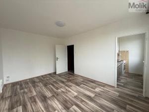Pronájem bytu 1+kk, Most, Růžová, 27 m2