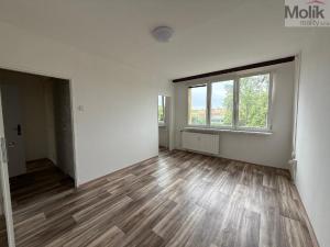 Pronájem bytu 1+kk, Most, Růžová, 27 m2
