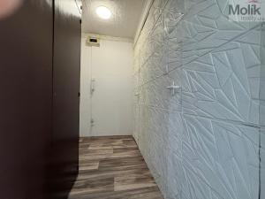 Pronájem bytu 1+kk, Most, Růžová, 27 m2