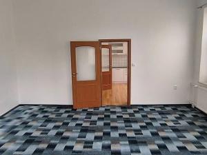 Pronájem bytu 1+1, Cheb, Svatopluka Čecha, 48 m2