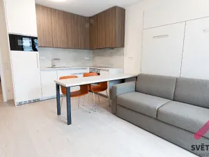 Pronájem bytu 1+kk, Praha - Žižkov, Hartigova, 32 m2