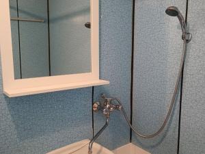 Pronájem bytu 4+1, Karlovy Vary, Východní, 75 m2