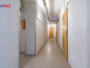 Pronájem bytu 2+1, Hradec Králové - Pražské Předměstí, Puškinova, 62 m2