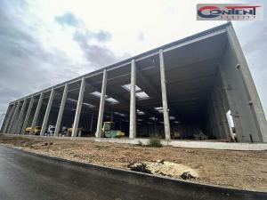 Pronájem skladu, Ostrava - Kunčičky, Rajnochova, 8000 m2
