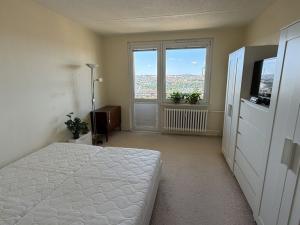 Pronájem bytu 2+1, Třebíč, Mládežnická, 56 m2