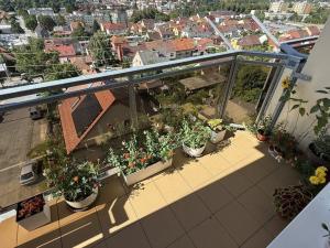 Pronájem bytu 2+1, Třebíč, Mládežnická, 56 m2