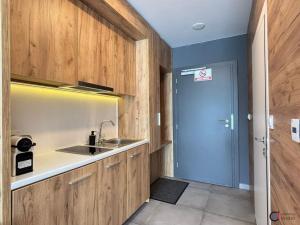 Prodej apartmánu, Dolní Morava, 28 m2