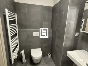 Pronájem bytu 1+kk, Olomouc, Aloise Rašína, 38 m2