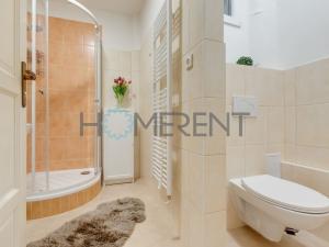 Pronájem bytu 2+1, Praha - Žižkov, Radhošťská, 65 m2