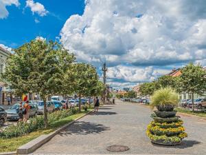 Prodej bytu 4+1, Rakovník - Rakovník II, Na Sekyře, 94 m2