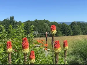 Prodej rodinného domu, Liberec - Liberec XXIV-Pilínkov, Maškova, 120 m2