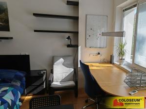 Pronájem bytu 1+kk, Brno - Veveří, 28 m2