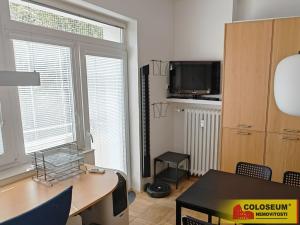 Pronájem bytu 1+kk, Brno - Veveří, 28 m2