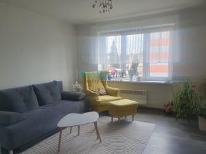 Pronájem bytu 2+1, Zábřeh, Křížkovského, 60 m2