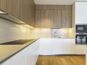 Pronájem bytu 4+kk, Praha - Smíchov, Holečkova, 196 m2