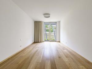 Pronájem bytu 4+kk, Praha - Smíchov, Holečkova, 196 m2