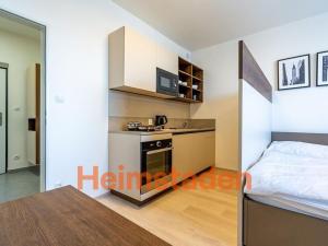 Pronájem bytu 1+kk, Plzeň - Jižní Předměstí, Magisterská, 27 m2