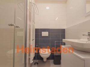 Pronájem bytu 1+kk, Plzeň - Jižní Předměstí, Magisterská, 27 m2