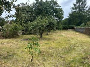 Pronájem rodinného domu, Kamenné Žehrovice, Karlovarská třída, 55 m2