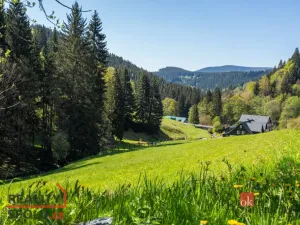 Prodej ubytování, Malá Úpa - Dolní Malá Úpa, 528 m2