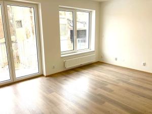 Pronájem bytu 1+kk, Brno, Spolková, 29 m2