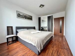 Pronájem bytu 2+kk, Liberec, Americká, 56 m2